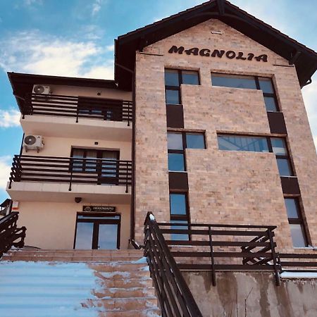 Pensiunea Magnolia Craiova Bagian luar foto