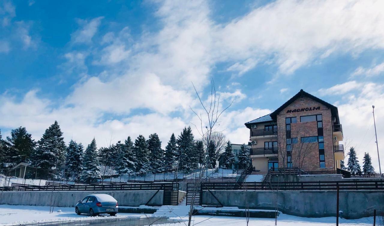 Pensiunea Magnolia Craiova Bagian luar foto